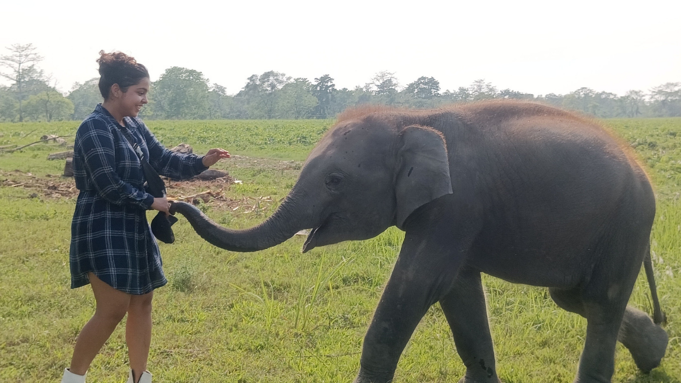 Untitled design - 2025-08-20T222819.547