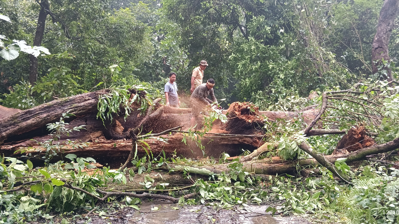 Untitled design - 2025-08-20T222951.662