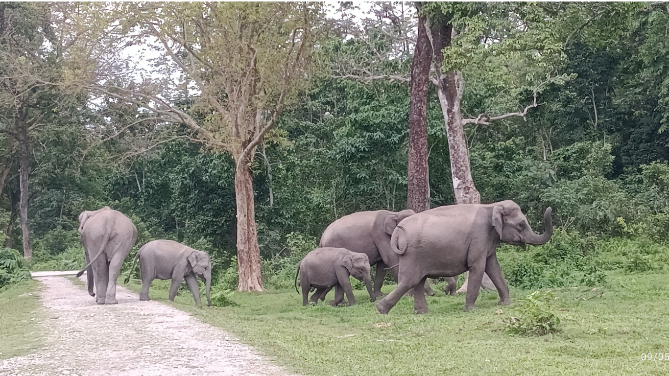 Untitled design - 2025-08-20T223050.571