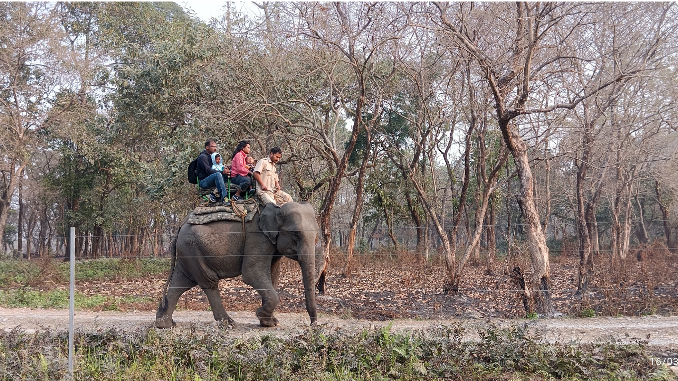 Untitled design - 2025-08-20T223220.389