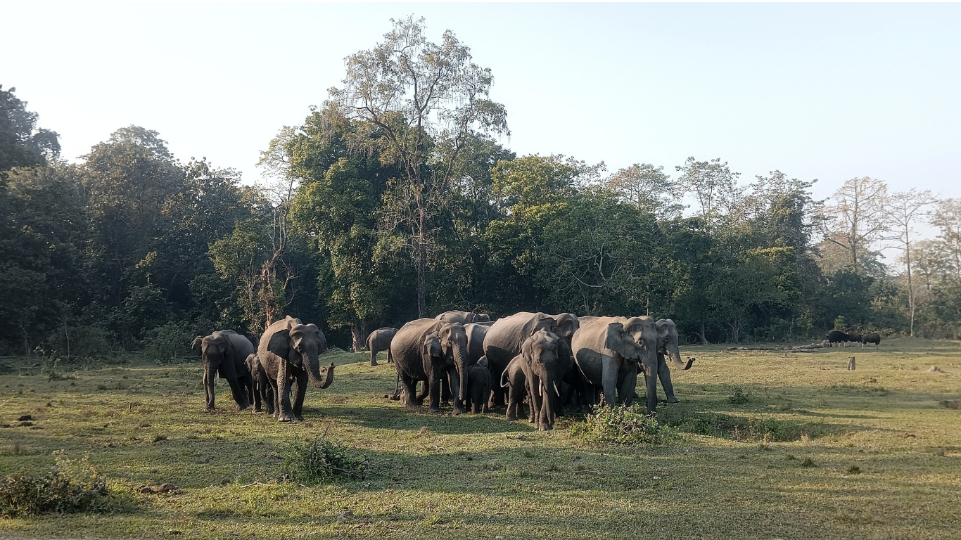 Untitled design - 2025-08-20T223502.192