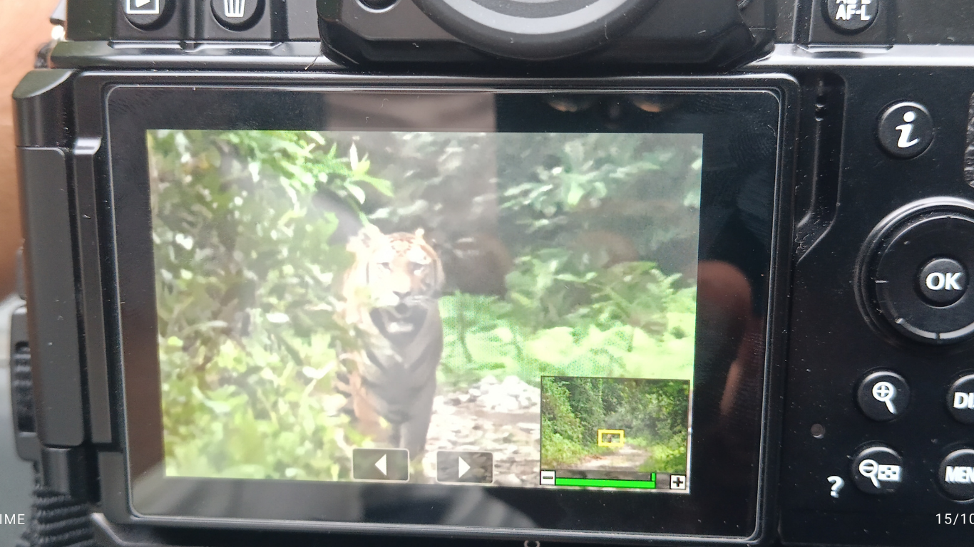 Untitled design - 2025-08-20T223850.448