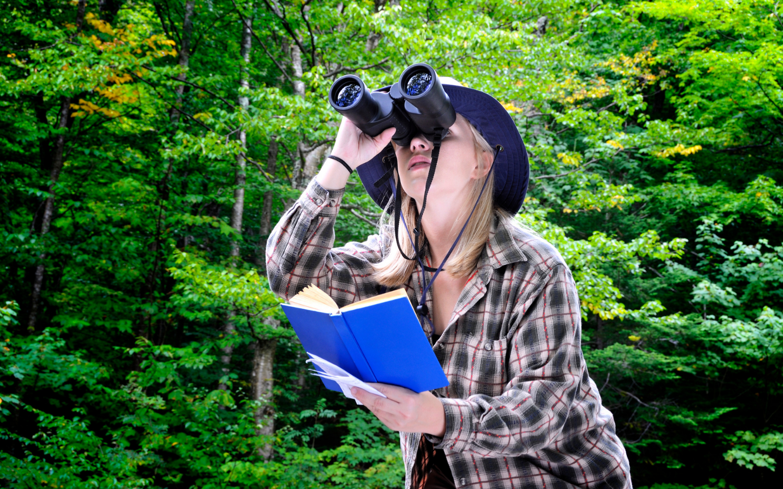 Bird watching tour in Manas National Park